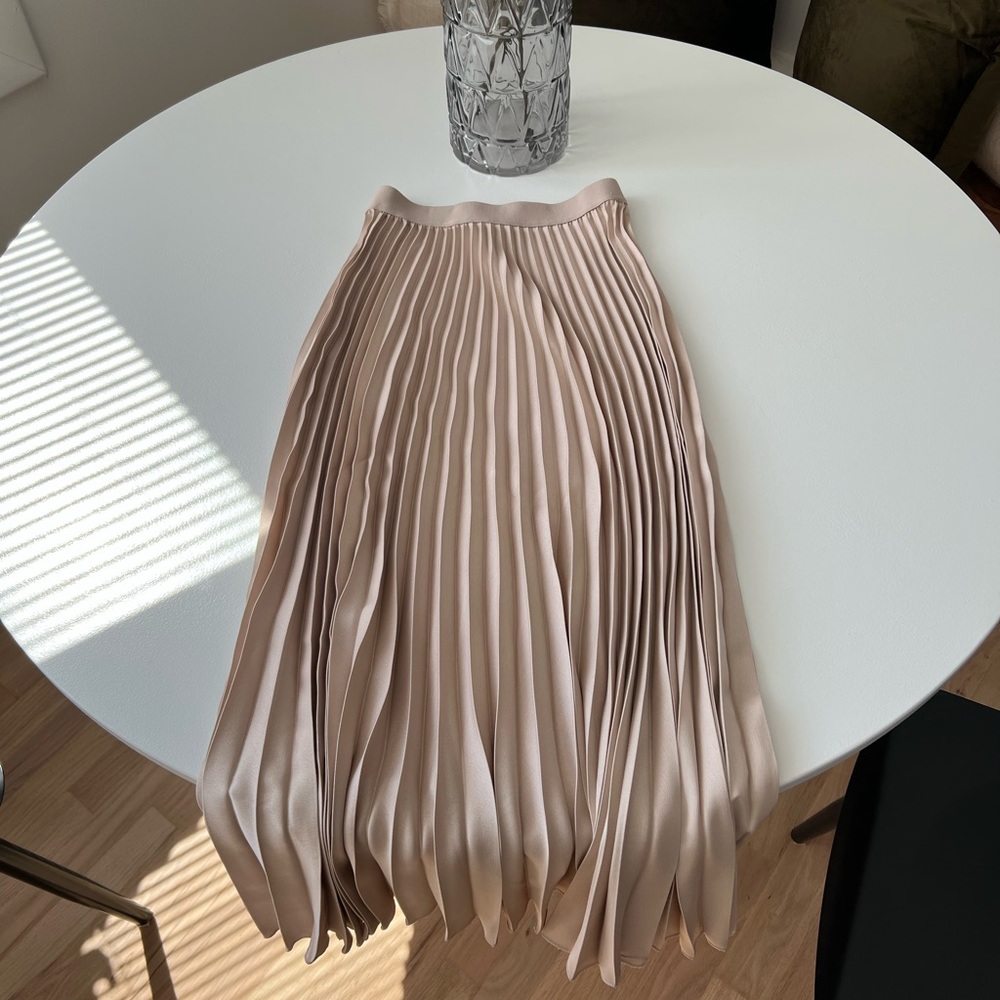 H&M extra small pleated long skirt